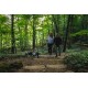 Ein Paar geht mit zwei Hunden an Leinen einen felsigen Weg in einem üppigen grünen Wald entlang, umgeben von hohen Bäumen und Sonnenlicht, das durch die Blätter filtert.