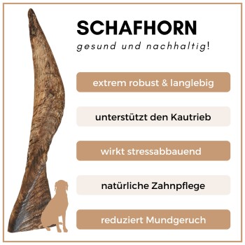 Großer Schafhorn auf hellem Hintergrund, der Vorteile hervorhebt: robust, unterstützt das Kauen, reduziert Stress, Zahnpflege und schlechten Atem. Hund Silhouette.