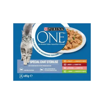 Emballage de nourriture pour chat Purina ONE mettant en vedette un chat gris, avec des saveurs : poulet & haricots verts, bœuf & carottes, saumon & carottes, dinde & haricots verts.