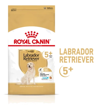 Royal Canin Adult Labrador Retriever Hundefutterbeutel mit einer Illustration eines Golden Retrievers, gekennzeichnet für Hunde über 5 Jahre alt.