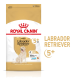 Royal Canin Adult Labrador Retriever Hundefutterbeutel mit einer Illustration eines Golden Retrievers, gekennzeichnet für Hunde über 5 Jahre alt.