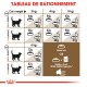Tableau d'alimentation pour chats montrant les quantités recommandées de croquettes quotidiennes en fonction du poids (3-6 kg) et de l'état (idéal ou en surpoids).
