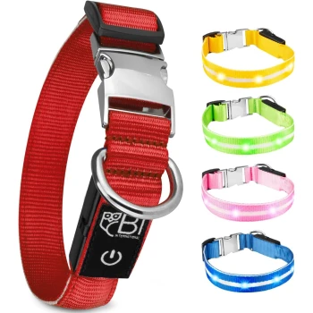 Ein rotes Haustierhalsband mit einer Metallschnalle und D-Ring, neben vier bunten LED-Halsbändern in Gelb, Grün, Pink und Blau.