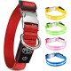 Ein rotes Haustierhalsband mit einer Metallschnalle und D-Ring, neben vier bunten LED-Halsbändern in Gelb, Grün, Pink und Blau.