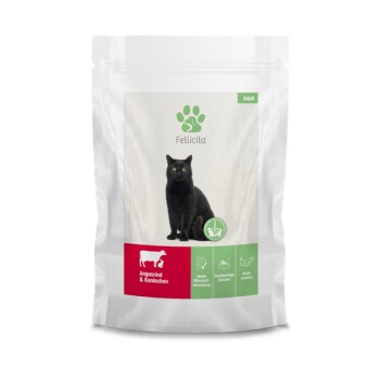 Fellicita Multipack 5 Sorten 10x 95 g