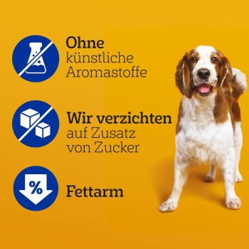 Ein glücklicher Hund auf einem hellgelben Hintergrund, mit Text über keine künstlichen Aromen, keinen zugesetzten Zucker und wenig Fett.