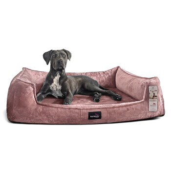 Ein schwarz-weißer Hund, der auf einem plüschigen rosa Hundebett mit erhöhten Rändern liegt, mit einem Etikett, das "tierlando" liest.