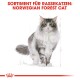 Illustration einer Norwegischen Waldkatze mit grünen Augen und einem flauschigen Fell, begleitet von dem Text 'SORTIMENT FÜR RASSEKATZEN: NORWEGIAN FOREST CAT.'