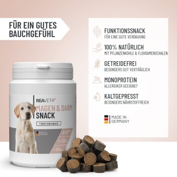Pet Snack-Behälter mit der Aufschrift "REAVET Magen & Darm Snack" auf einem hellrosa Hintergrund mit dunkelbraunen Snacks. Enthält "100% natürlich" und "getreidefrei."