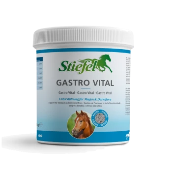 Behälter von Stiefel Gastro Vital für Pferde, mit einer Pferdegrafik, mit Text, der die Inhaltsstoffe hervorhebt: kalkhaltige Algen und Magnesiumoxid.