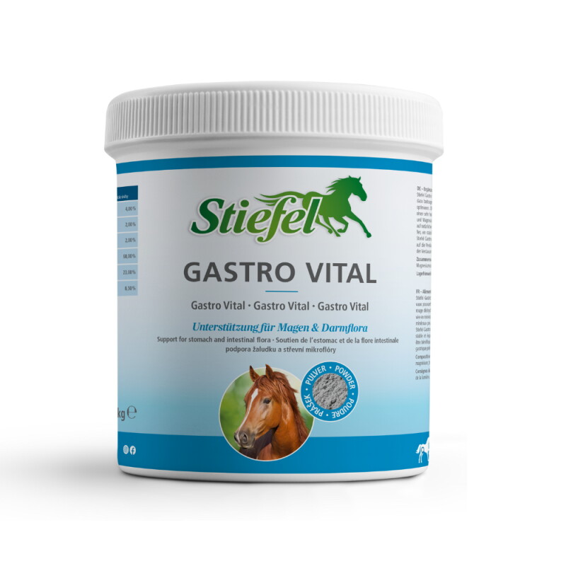 Stiefel Gastro Vital 1 kg