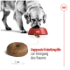 Ein Golden Retriever frisst aus einer roten Schüssel mit Futter, mit einem Lineal, das 1 cm zeigt, und Text über die Futtergröße zur Kaustimulation.