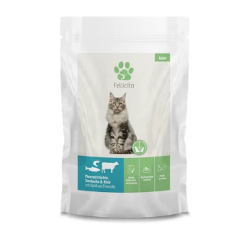 Verpackung für Katzenfutter mit einer flauschigen Katze auf der Vorderseite, beschriftet mit "Fellicita Adult" und Zutaten: Meeresfrüchte, Robbe und Rindfleisch mit Apfel und Petersilie.