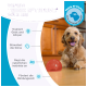 Ein glücklicher Hund sitzt auf einem Holzboden neben einem roten Spielzeug und zeigt die Vorteile von Think N' Thrive: Training, Stimulation, Instinkte und Bindung.