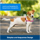 Ein kleiner Hund in einem pinken Geschirr steht auf einem grünen Weg. Text oben: "Leicht und langlebig für bequeme Spaziergänge." Unten: "Einfaches und bequemes Design."