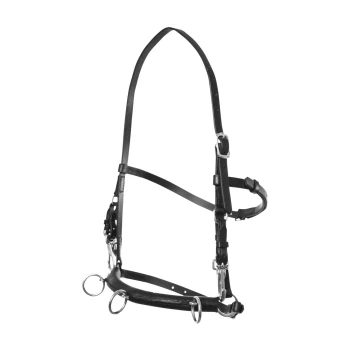 Schwarzes Leder-Ha harness mit verstellbaren Riemen und Metallringen zur Leinenbefestigung.