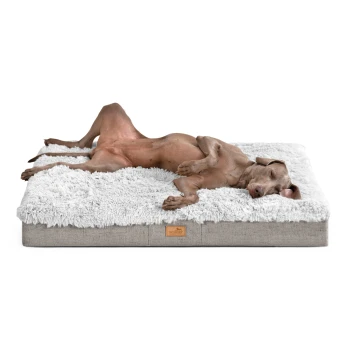 Ein entspannter brauner Hund liegt auf einem plüschigen, weißen Hundebett mit grauem Boden und zeigt Komfort und Ruhe.