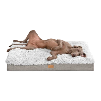 Ein entspannter brauner Hund liegt auf einem plüschigen, weißen Hundebett mit grauem Boden und zeigt Komfort und Ruhe.