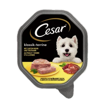 Cesar klassik-terrine Hundefutterverpackung mit zartem Huhn und Truthahn, mit Bildern des Futters auf einem gelben Teller und grünem Garnitur.