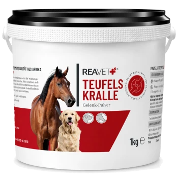 Behälter mit REAVET Teufelskralle Gelenk-Pulver für Haustiere, mit einem Pferd und einem Hund auf dem Etikett, 1 kg Größe.