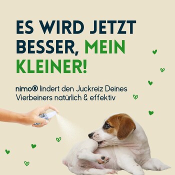 Eine Hand sprüht ein Produkt auf einen verspielten Welpen, mit dem Text: "Es wird jetzt besser, mein Kleiner!" über nimo® zur natürlichen Juckreizlinderung.