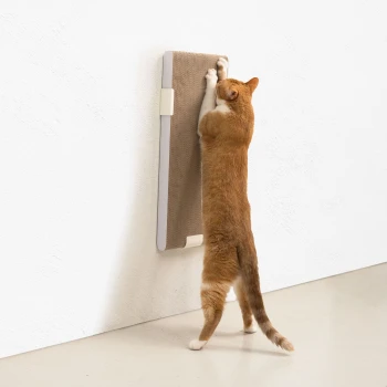 Eine rote Katze, die sich streckt, um eine wandmontierte Kratzmatte zu kratzen, und ihr verspieltes Verhalten in einem minimalistischen Umfeld zeigt.