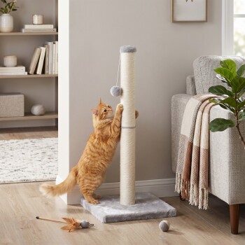 Orange getigerte Katze kratzt an hohem beigen Sisalpfosten mit hängendem Bommel, Spielzeug auf dem Boden neben grauem Sofa.