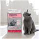 Gray cat with blue eyes next to a bag of PREMIERE clumping cat litter labeled 'KLUMPEND EXCELLENT' 6 kg.
