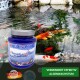 Aqua Cereal PhosphatBinder-Behälter vor einem Teich mit bunten Koi-Fischen; der Text lautet "Vermindert effektiv Algenwachstum."