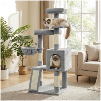 Grauer mehrstöckiger Kratzbaum am Fenster mit zwei flauschigen Katzen, eine auf dem obersten Liegeplatz, eine in der Höhle; Pflanzen und ein beiges Sofa in der Nähe.
