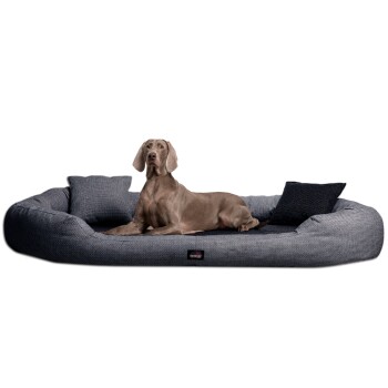 Tierlando ® BALOU – Orthopädisches Hundebett mit Visco Plus Matratze graphit schwarz 1,45 m, 30 cm, 1,1 m