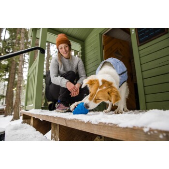 Ein verspielter Hund trägt eine blaue Jacke und kaut auf einem blauen Spielzeug auf einer verschneiten Veranda, mit einer grünen Hütte im Hintergrund.