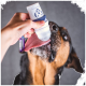 Eine Person, die graue Jeans trägt, hat eine weiße Haustier-Wasserflasche mit einem blauen Riemen und Clip an ihrem Gürtel befestigt.