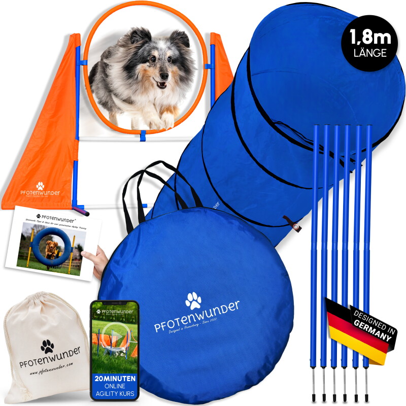 PfotenWunder® Agility-Medium-Set Hunde groß + 21 Min. HUNDESCHULE - 6 Slalomstangen, 1 Tunnel, für kleine & große Hunde, Training Sport Spielzeug...