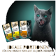Eine graue Katze mit grünen Augen leckt sich die Lippen neben drei Sheba-Tüten mit der Aufschrift Geflügel, Huhn und Truthahn, mit einem Slogan zur Frische der Mahlzeit.