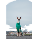 Ein Hund, der einen gemütlichen grünen gestrickten Pullover trägt, sitzt auf einer Kiesoberfläche, mit dem Rücken zur Kamera, und hat ein verschwommenes Gesicht.