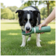 Border Collie trinkt aus einer grünen tragbaren Wasserflasche mit der Aufschrift ‚romneys‘, die von einer Hand in einem grasigen Park gehalten wird.