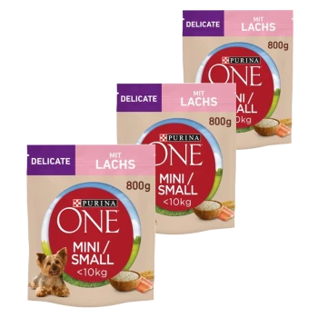 Trois paquets de nourriture pour chiens Purina ONE Mini/Small, chacun de 800g, étiquetés "Délicat avec du saumon" avec un accent sur les petits chiens de moins de 10 kg.