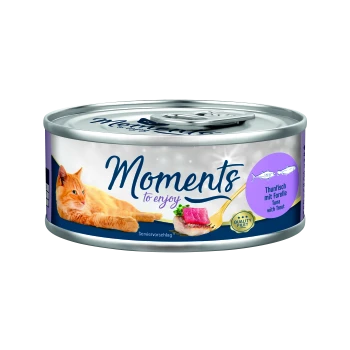 Eine Dose Katzenfutter mit der Aufschrift "Momente zum Genießen", mit einer orangefarbenen Katze und Thunfisch mit Forelle. Der Text lautet "Thunfisch mit Forelle" und "QUALITÄTSFILET."