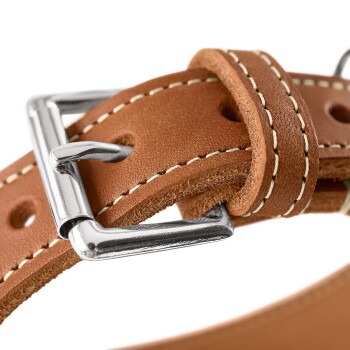 Nahaufnahme eines braunen Lederhalsbands mit weißer Naht, verchromter Schnalle und Einstelllöchern.