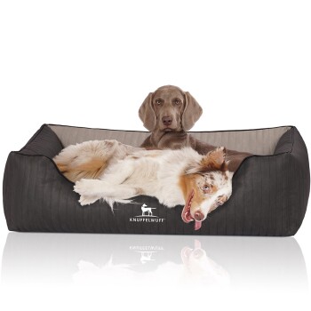 Orthopädisches Hundebett Outback aus laser-gestepptem Kunstleder schwarz/ grau XL
