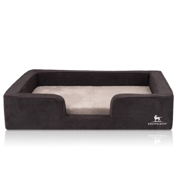 orthopädisches Hundebett mit Wendekissen aus Velours Bellamy schwarz M-L