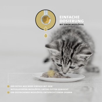 Ein graues getigertes Kätzchen frisst von einem weißen Teller, mit einer Grafik eines Messlöffels darüber und Text zum Mischen von Entgiftungspulver mit Futter.