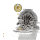 Ein graues getigertes Kätzchen frisst von einem weißen Teller, mit einer Grafik eines Messlöffels darüber und Text zum Mischen von Entgiftungspulver mit Futter.