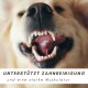 Nahaufnahme eines geöffneten Hundemauls mit sauberen Zähnen und dem Text "Unterstützt Zahnreinigung und eine starke Muskulatur" darunter.
