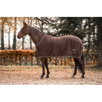Ein braunes Pferd, das eine Fleece-Decke mit dem Logo "EQUINATE" trägt, steht in einer herbstlichen Umgebung mit gefallenen Blättern.