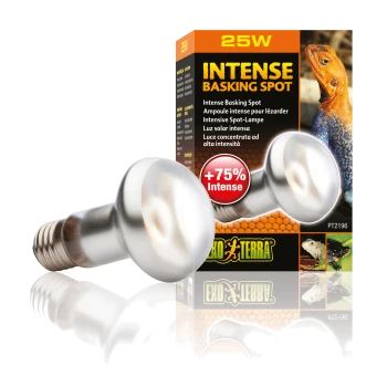 Żarówka 25W Exo Terra Intense Basking Spot wyświetlana obok swojego opakowania, z wizerunkiem jaszczurki i tekstem w wielu językach.