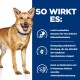 Ein glücklicher goldbrauner Hund mit blauer Halsband steht vor einem blauen Hintergrund mit Text über die Vorteile eines Haustierprodukts.