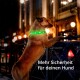 Leuchthalsband Hundehalsband gelb XS