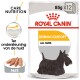 Royal Canin Dermacomfort hondenvoer verpakking met een zwarte Schotse Terrier, gelabeld 'Care Nutrition' en 'All Sizes', met een paté-illustratie.